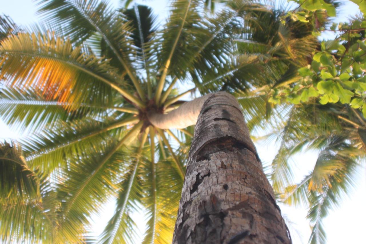 Cocoloco Beach Resort Manoc-Manoc Bagian luar foto